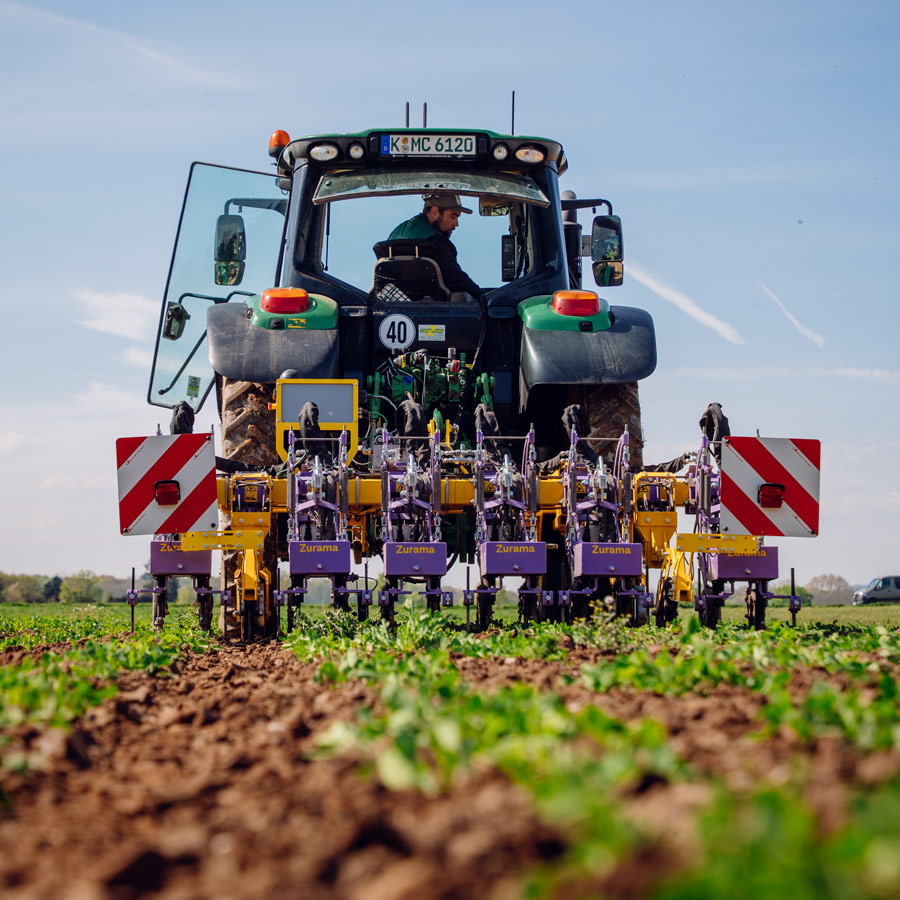 Feldklasse Zurama Hackmaschine im Einsatz auf dem Feld